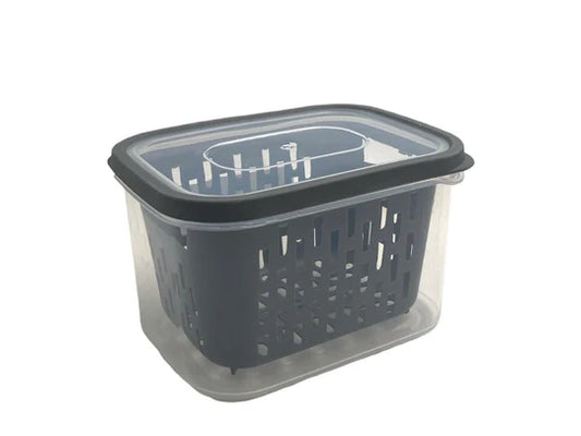 Small Fresh Storage Box With Strainer